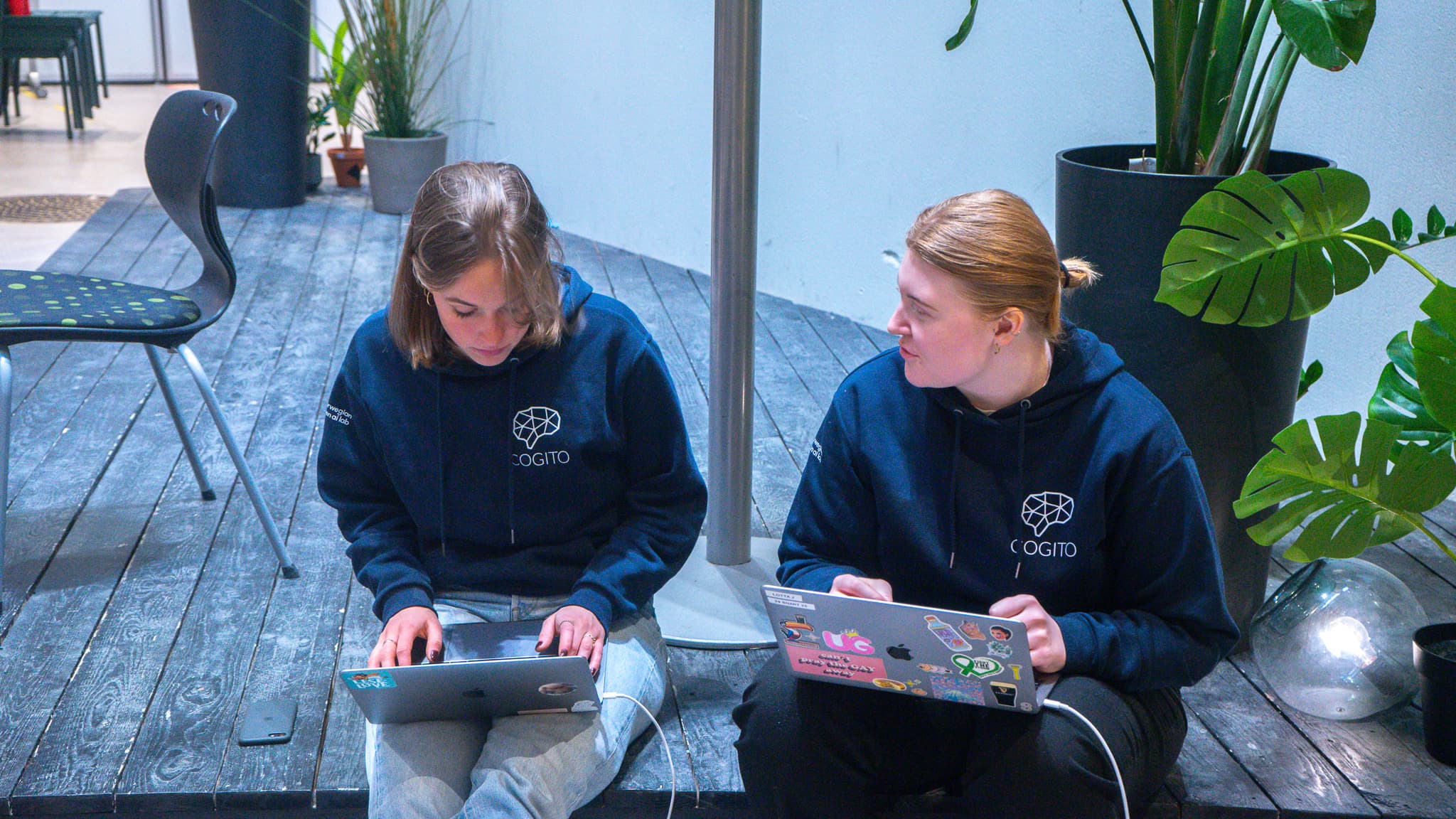 Project presentation